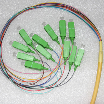 12 Fiber SC/APC Bunch Breakout Pigtails Singlemode 0.9mm 3 Meters