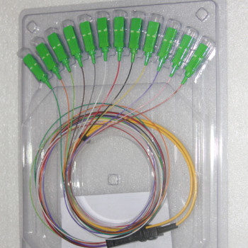 12 Fiber SC/APC Ribbon Fanout Pigtails Singlemode 0.9mm 2.5 Meters