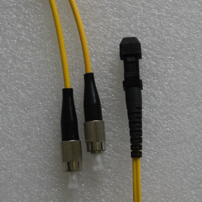 FC to MTRJ Female Patch Cord Singlemode Duplex 2.0mm 1M